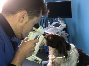 Oculista Matteo Ambesi